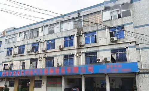 東莞一工廠遭遇“螞蟻搬家式”盜竊，12萬元清真食品不翼而飛，疑有內(nèi)鬼參與